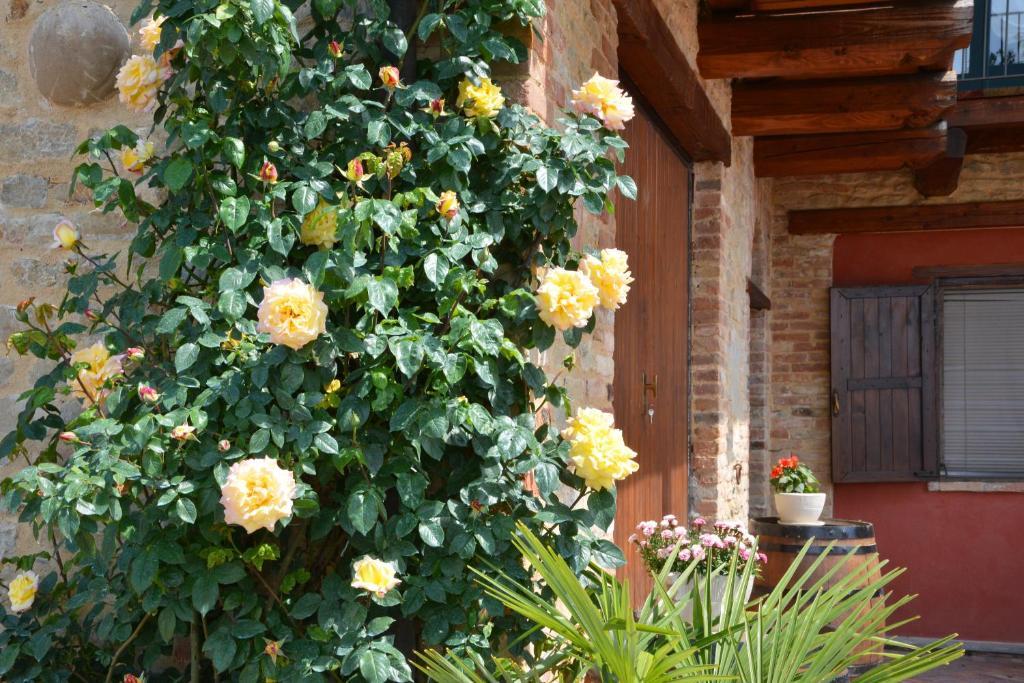 Bed and Breakfast Da Fabiana Bossolasco Экстерьер фото